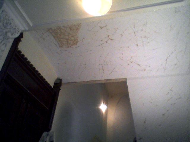 Vor der Gestaltung und Restaurierung in dem aus dem Jugendstil stammenden Treppenhaus hat Malermeister Norbert Schimpf (Innungsbetrieb) die Malerarbeiten ausgeführt.