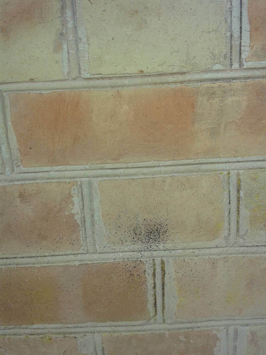 Malerarbeiten Berlin, Fassade, Malerarbeiten Berlin, Fassade, Malerarbeiten Berlin, Fassade, Malerarbeiten Berlin, Fassade, Malerarbeiten Berlin, Fassade, Malerarbeiten Berlin, Fassade, Malerarbeiten Berlin, Fassade, Malerarbeiten Berlin, Fassade, Malerarbeiten Berlin, Fassade, Malerarbeiten Berlin, Fassade, Malerarbeiten Berlin, Fassade, Malerarbeiten Berlin, Fassade, Malerarbeiten Berlin, Fassade, Malerarbeiten Berlin, Fassade, Malerarbeiten Berlin, Fassade, Malerarbeiten Berlin, Fassade, Malerarbeiten Berlin, Fassade, Malerarbeiten Berlin, Fassade, Malerarbeiten Berlin, Fassade, Malerarbeiten Berlin, Fassade, Malerarbeiten Berlin, Fassade, Malerarbeiten Berlin, Fassade, Malerarbeiten Berlin, Fassade, Malerarbeiten Berlin, Fassade,