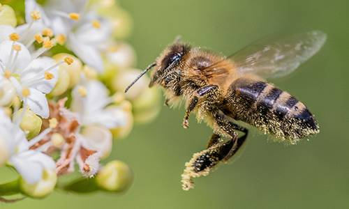 Rollladenbau Schulze in Wanzleben-Börde ist Ihr kompetenter Partner in allen Leistungsbereichen des Rollladen- und Sonnenschutztechniker-Handwerks: Terrassendächer, Sonnensegel und Lamellendächer.