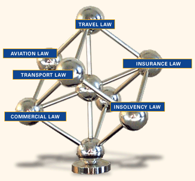 domains of law