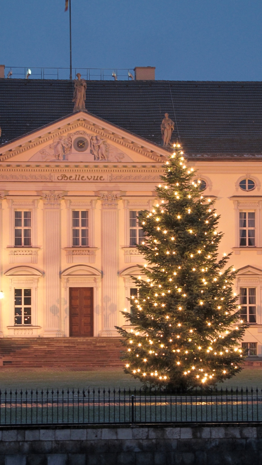 Weihnachtsbaum vor dem Schloß Bellevue in Berlin