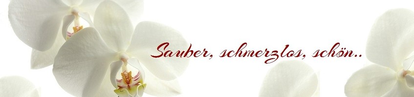 Sauber, schmerzlos, schön - Claudia Baumgarten
