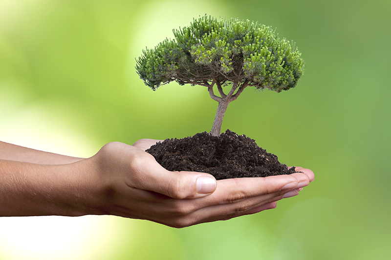 Maler Aus Filderstadt Farbgefuhl Malerbetrieb