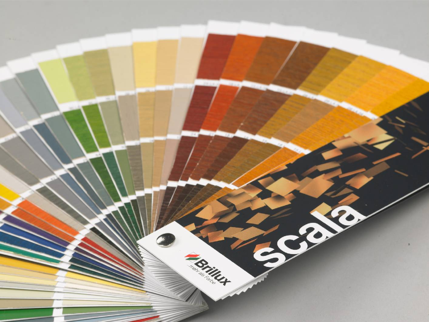 Malermeister Matthias Friese In Meppen Unternehmen