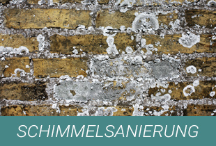 Malermeister Matthias Friese In Meppen Start