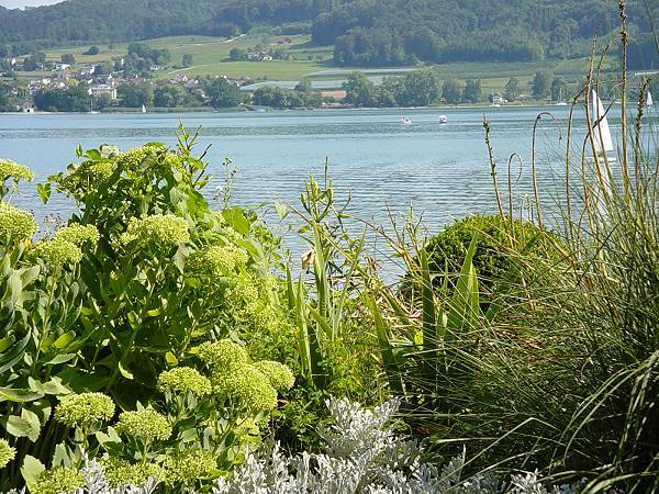 Bodensee single hotel