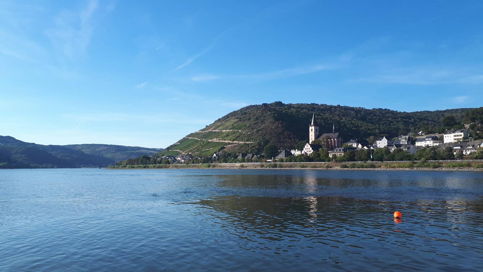 Rheintal bei Lorch