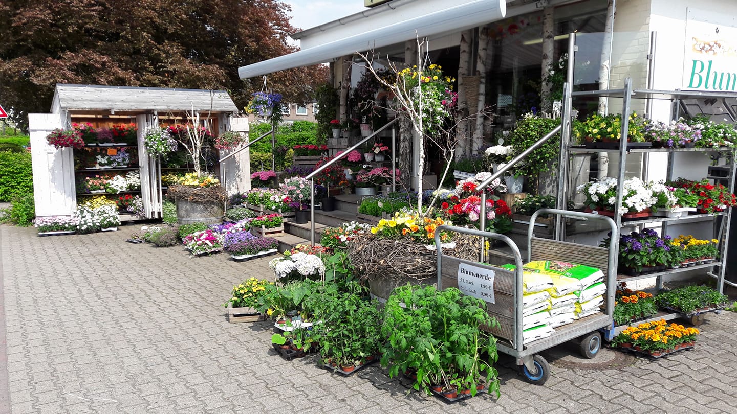 Unser Geschäft für Blumen und Floristik in Stockelsdorf.