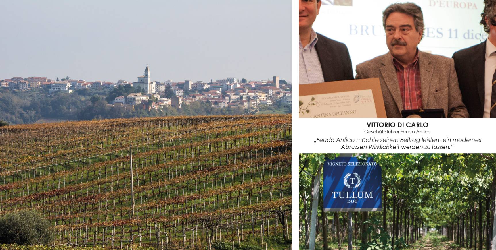 Wir führen auch Weine des kleinsten DOC Weinbaugebiets Tullum in unserer Vinothek in Bamberg.