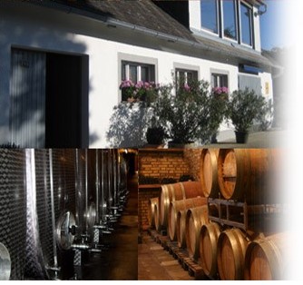Wenn Sie sich für Weine aus Österreich interessieren, dann kommen Sie in die Vinothek Scharfenberg in Bamberg. Wir informieren Sie gerne.