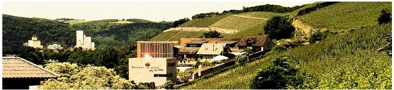 Genießen Sie die leckeren Weine aus Franken. Besuchen Sie unsere Vinothek in Bamberg.