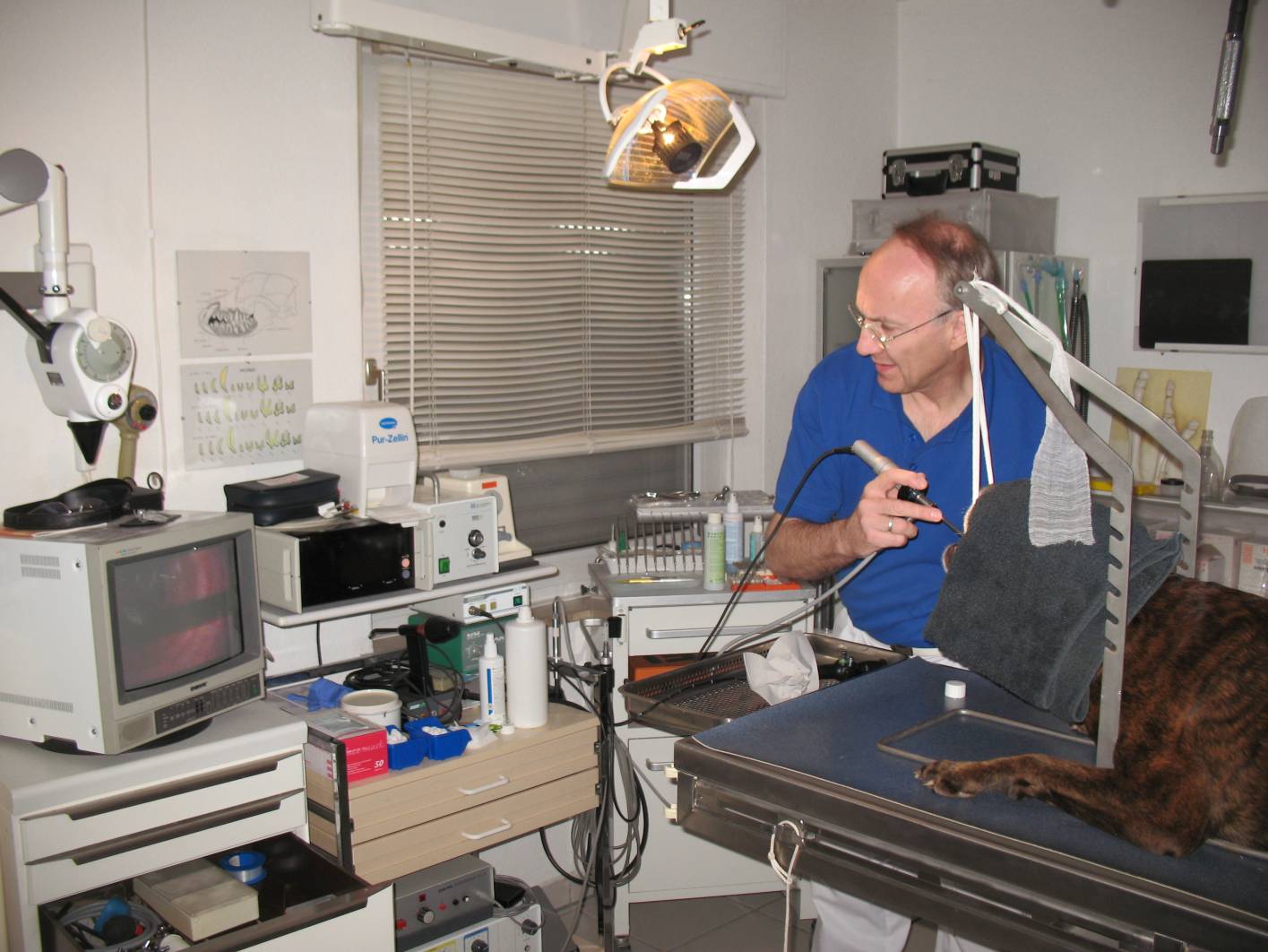 Endoskopie, Video - Endoskopie