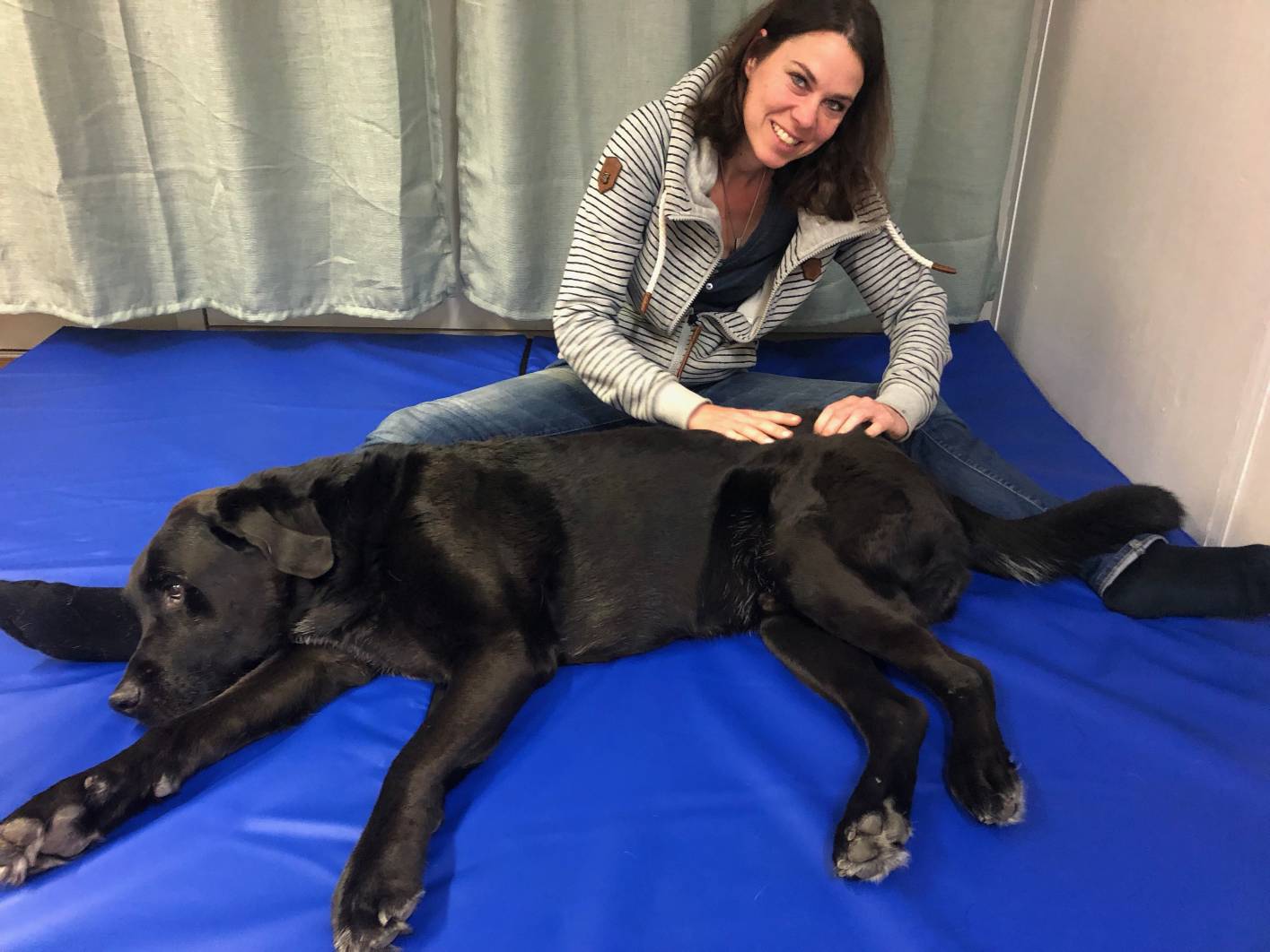 Falls notwendig kommt bei der Hundephysiotherapie auch Massagen für Ihren Hund zum Einsatz. Ich bin in Obertshausen und mobil-Wetterau für Sie da.