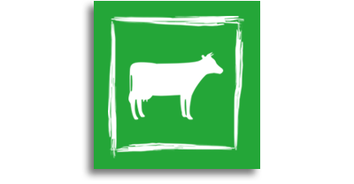 Unsere Herde hat 24h Zugang zur Weide. So entsteht unser gutes Bio Rindfleisch, das Sie bei uns im Betrieb in Kaufering bekommen.