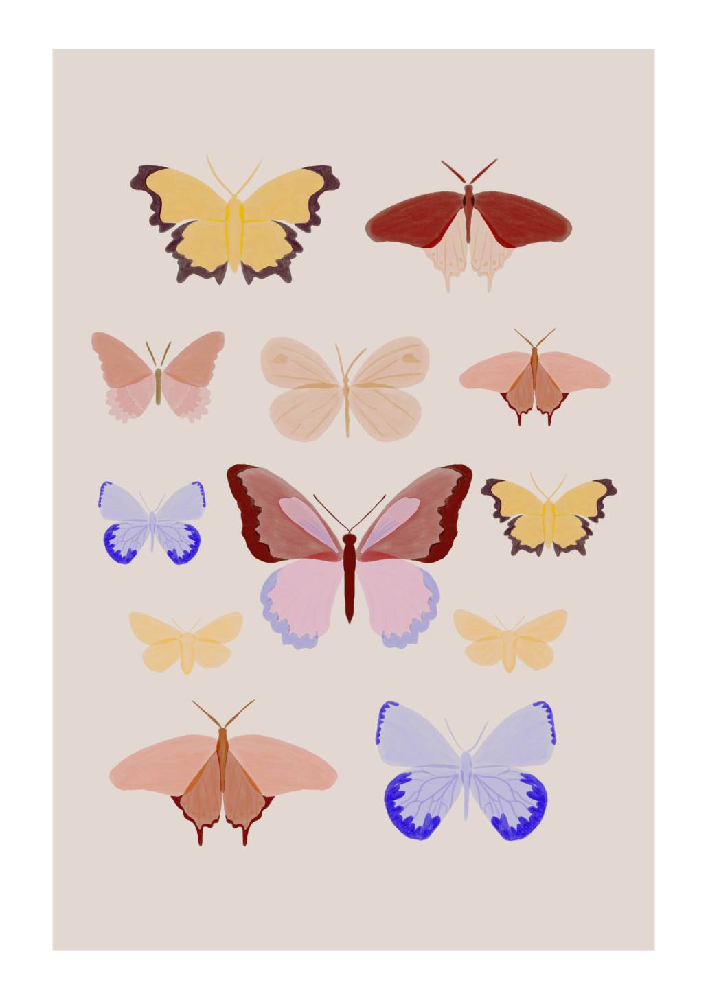Schmetterlinge_A4_rand