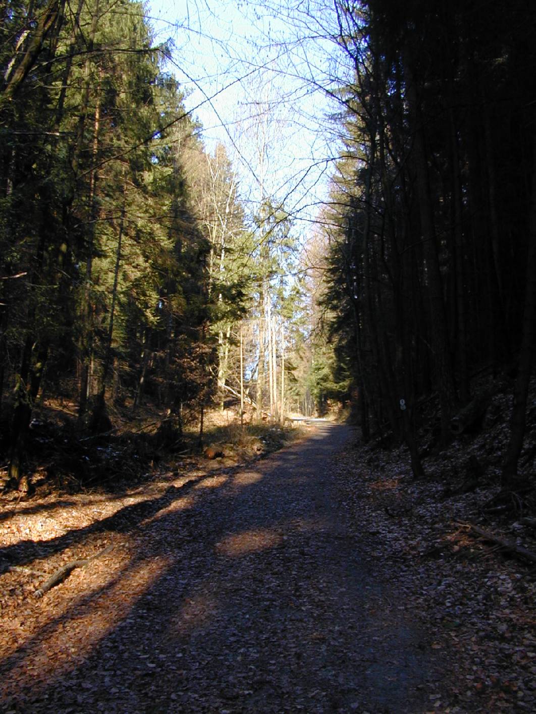 Wandern Sie in einer herrlichen Umgebung oder erkunden Sie den Pfälzer Wald oder Kaiserslautern mit Ihrem Mountainbike.