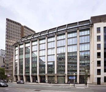 Markisen haan Markisen haan