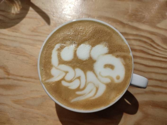 VSR e.V. - Neuigkeiten im VSR