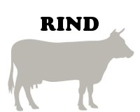 Klicken Sie hier für unser Sortiment an Rind- und Kalbfleisch